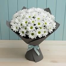 Букет цветов из:  Хризантемы в Савостино
